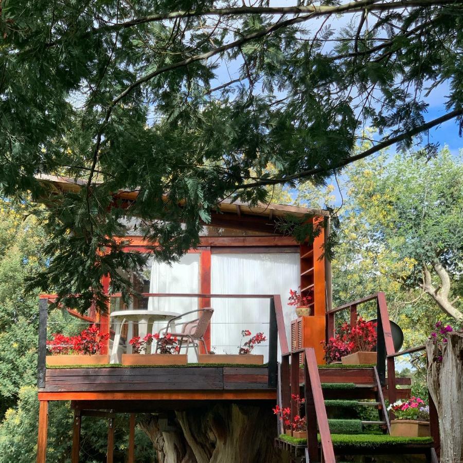 Casa en el Árbol Vila Suesca Exterior foto